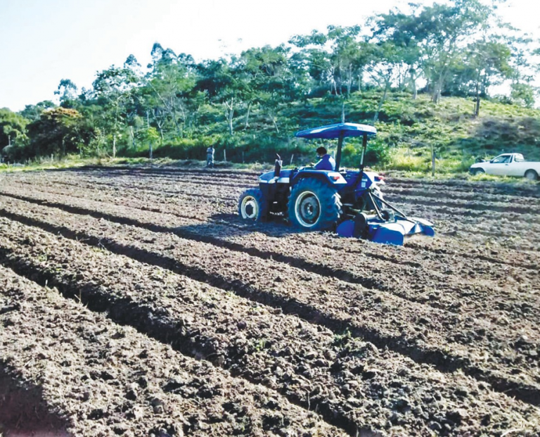 Setor Agrário
