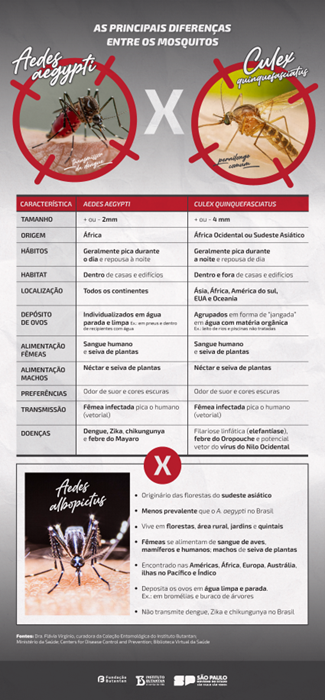 Descubra as diferenças entre o mosquito transmissor da dengue e o pernilongo
