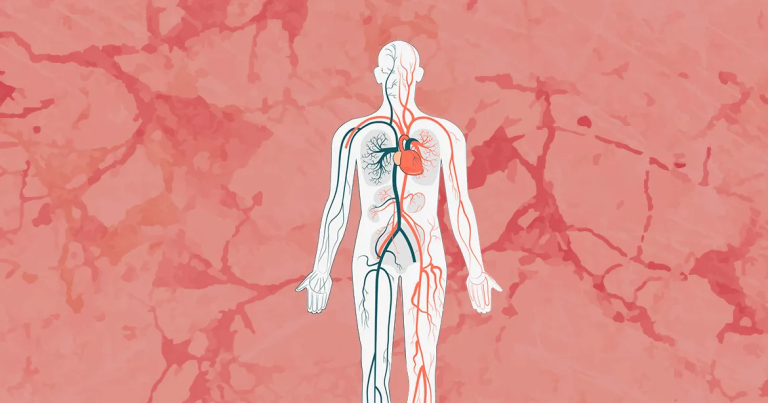 Estudo mostra que consumo excessivo de proteínas pode causar doenças cardiovasculares